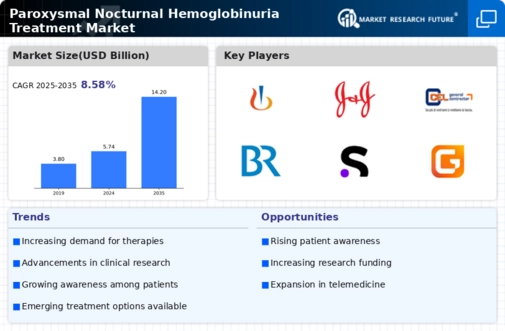 Paroxysmal Nocturnal Hemoglobinuria Treatment Market Market Research Report - Forecast 2034 Infographic