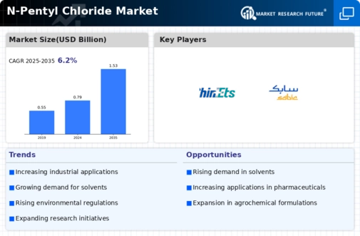 N-Pentyl Chloride Market Infographic