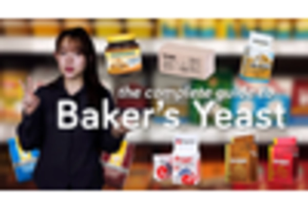 Yeast Autolysate Market key player