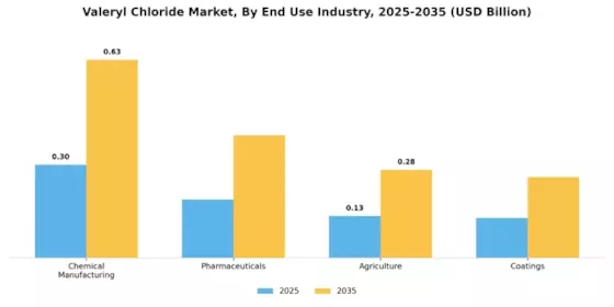 발레릴 클로라이드 시장 Segment Image 1