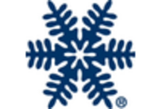  Remote-Cooled Cube Ice Machine Market key player