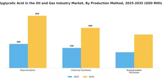 Polyglycolic Acid in the Oil and Gas Industry Market Segment Image 4