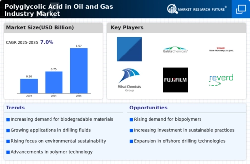 Polyglycolic Acid in the Oil and Gas Industry Market Infographic