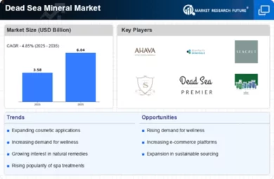 Dead Sea Mineral Market Infographic