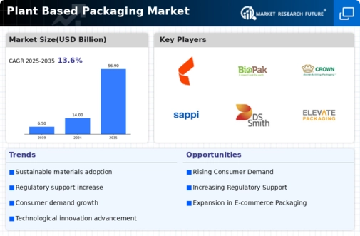 Plant Based Packaging Market Infographic
