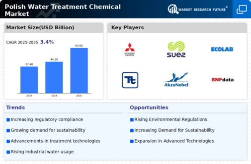 Polish Water Treatment Chemical Market Infographic
