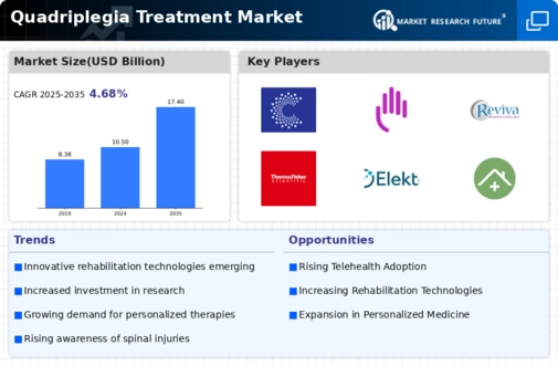 Quadriplegia Treatment Market Infographic