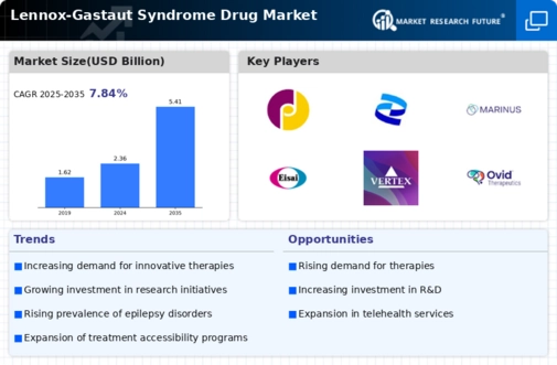 Lennox Gastaut Syndrome Drug Market Infographic