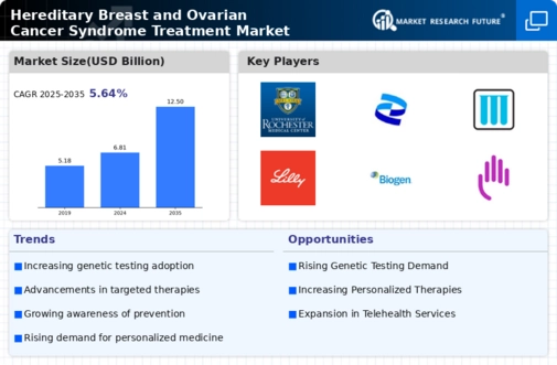 Hereditary Breast Ovarian Cancer Syndrome Treatment Market Infographic