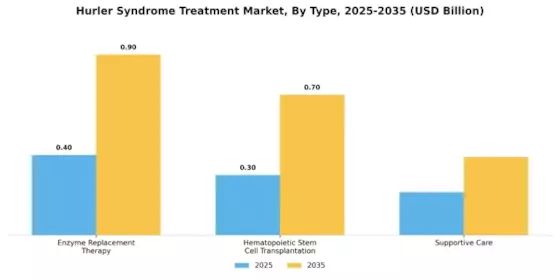 Hurler Syndrome Treatment Market Segment Image 0