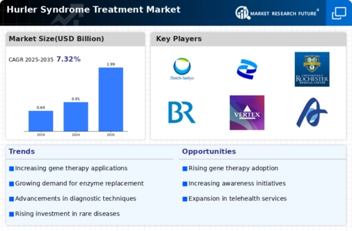 Hurler Syndrome Treatment Market Infographic
