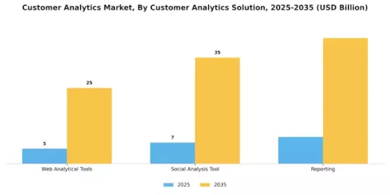 Customer Analytics Market Segment Image 0