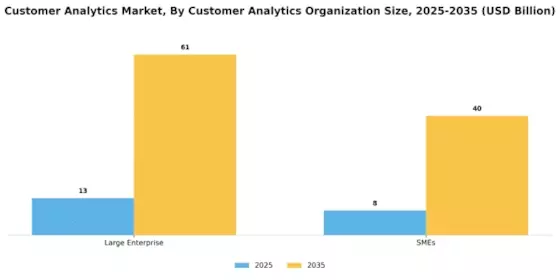 Customer Analytics Market Segment Image 2