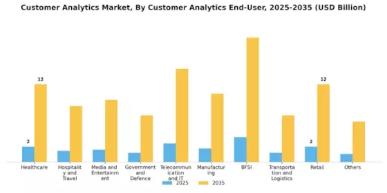 Customer Analytics Market Segment Image 4
