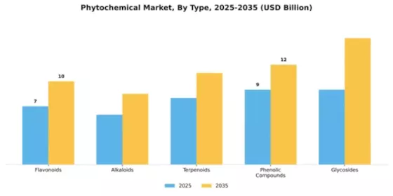 Phytochemical Market Segment Image 3