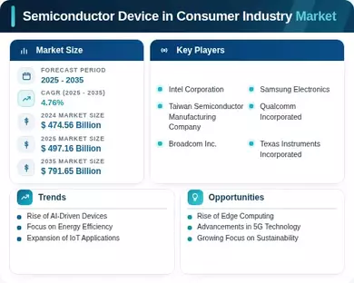 Semiconductor Device in Consumer Industry Market Infographic