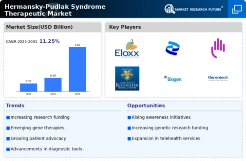 Hermansky Pudlak Syndrome Therapeutic Market Infographic