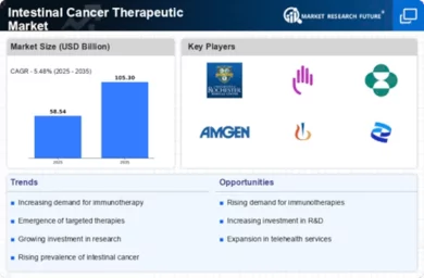 Intestine Cancer Therapeutic Market Infographic
