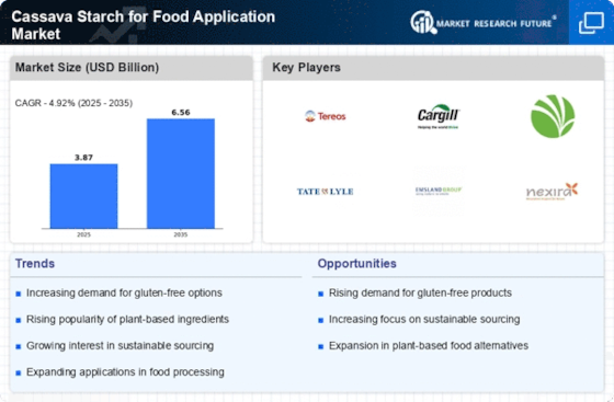 Cassava Starch for Food Application Market Infographic