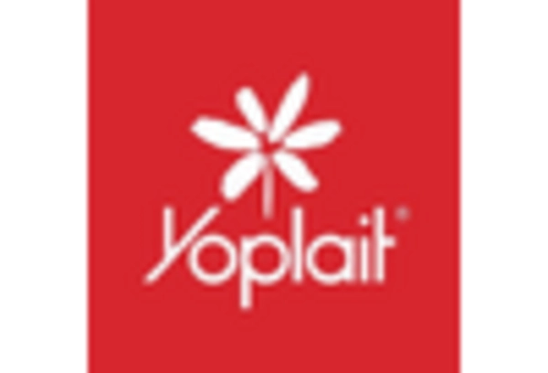 요거트 딥 시장 key player