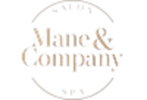 Meatless Flavor Additive Market key player