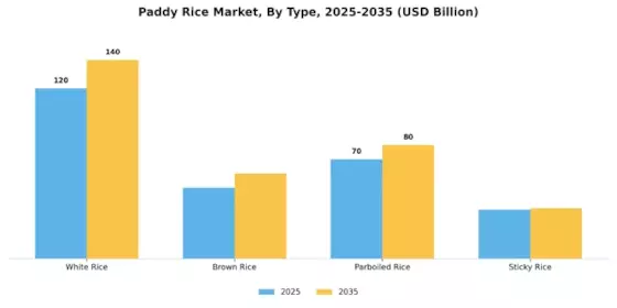 Paddy Rice Market Segment Image 0