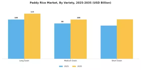 Paddy Rice Market Segment Image 3