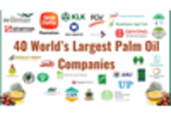 Paddy Rice Market key player