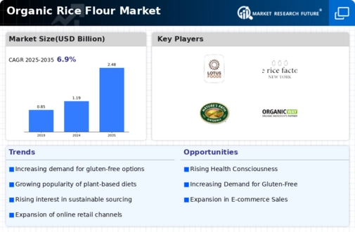 Organic Rice Flour Market Infographic