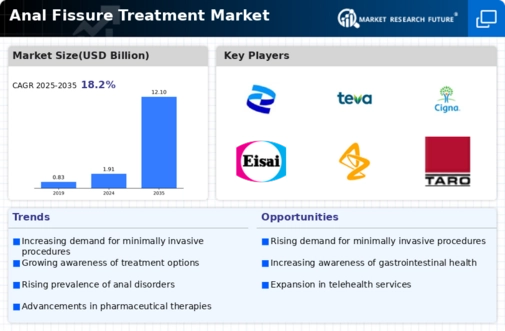 Anal Fissure Treatment Market Infographic