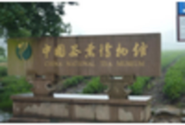 Oolong Tea Market key player