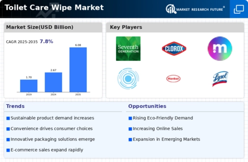 Toilet Care Wipe Market Infographic