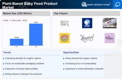 Plant Based Baby Food Product Market Infographic