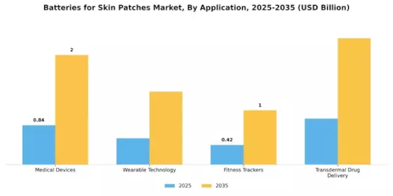 Batteries For Skin Patches Market Segment Image 0