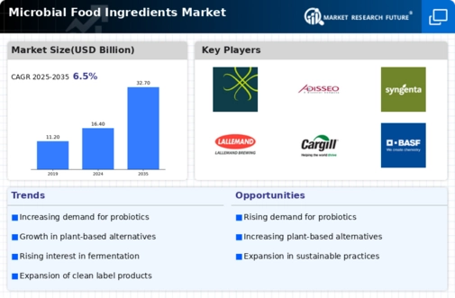 Microbial Food Ingredients Market Infographic