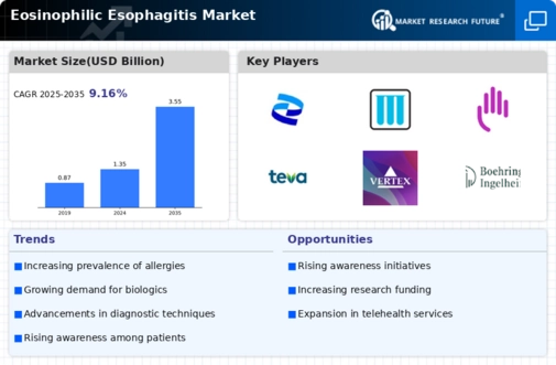 Eosinophilic Esophagiti Market Infographic