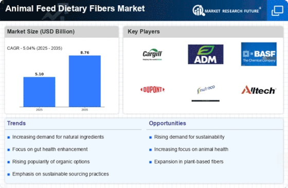 Animal Feed Dietary Fibers Market
 Infographic