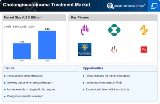 Cholangiocarcinoma Treatment Market Infographic