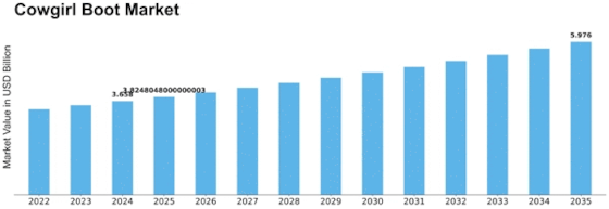 Cowgirl Boot Market Size