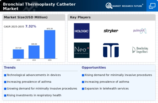 Bronchial Thermoplasty Catheter Market Infographic