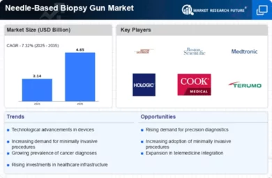 Needle Based Biopsy Gun Market Infographic