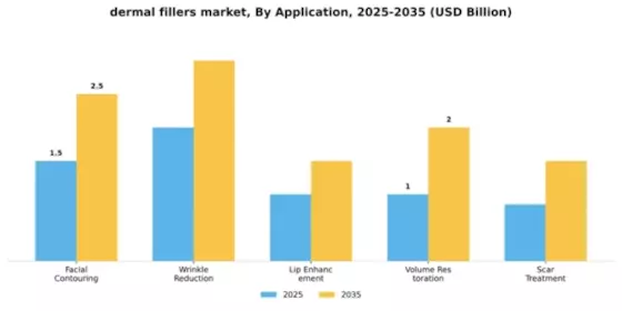 Dermal Fillers Market Segment Image 0