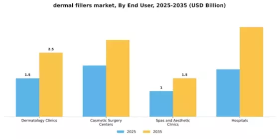 Dermal Fillers Market Segment Image 3