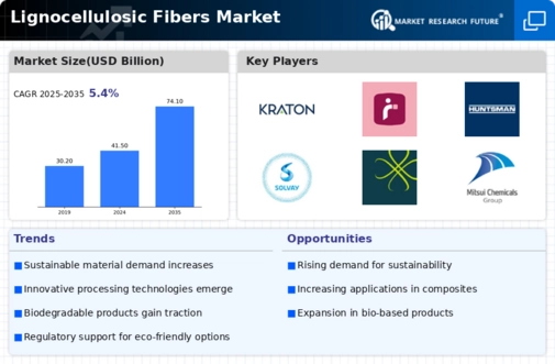 Lignocellulosic Fibers Market
 Infographic