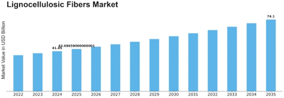 Lignocellulosic Fibers Market Size