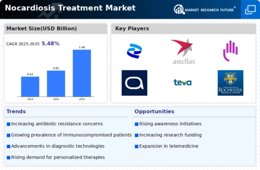 Nocardiosis Treatment Market Infographic