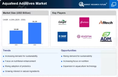 Aquafeed Additives Market Infographic
