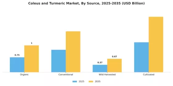 Coleus and Turmeric Market Segment Image 2