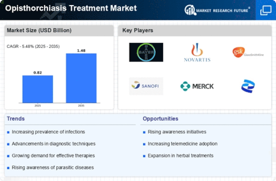 Opisthorchiasis Treatment Market Infographic