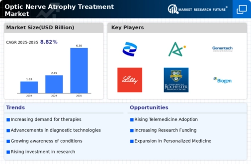 Optic Nerve Atrophy Treatment Market Infographic